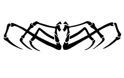 spider.jpg